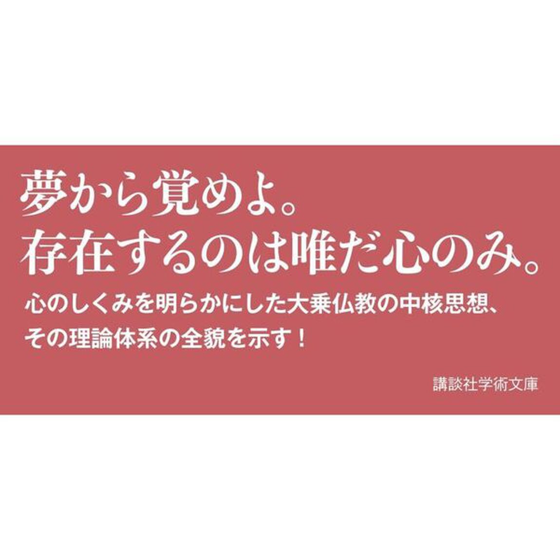 唯識の哲学