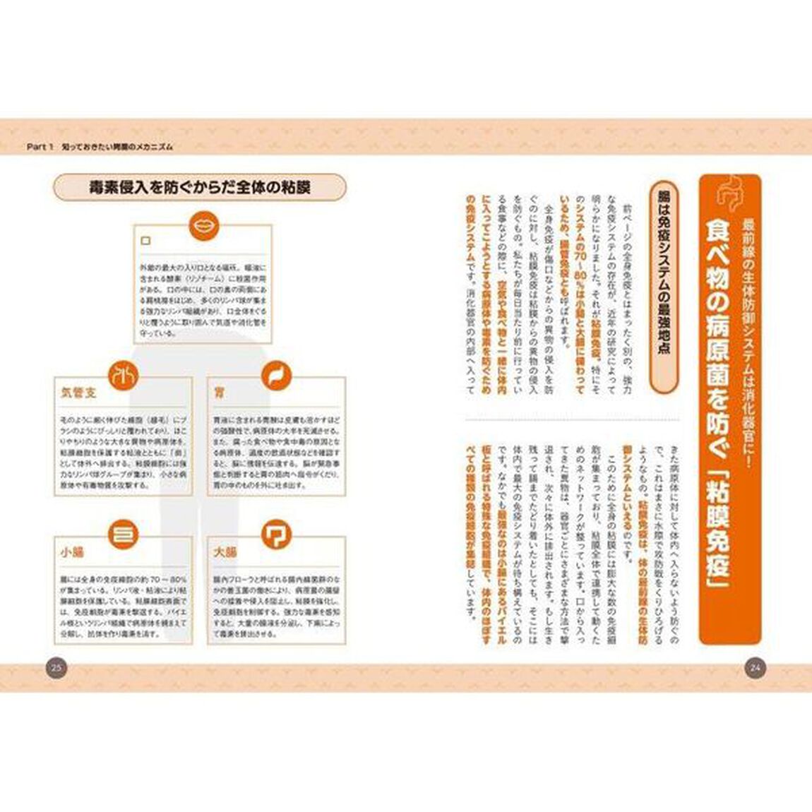 免疫力がアップする！胃腸のしくみ　専門医が解説する体を支える胃腸の機能
