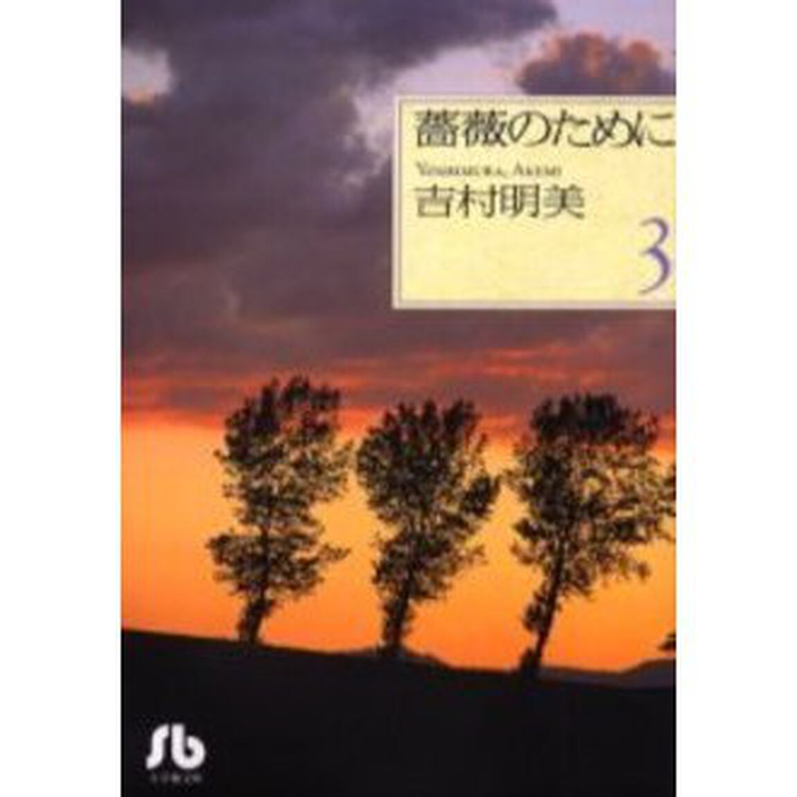 薔薇のために　３