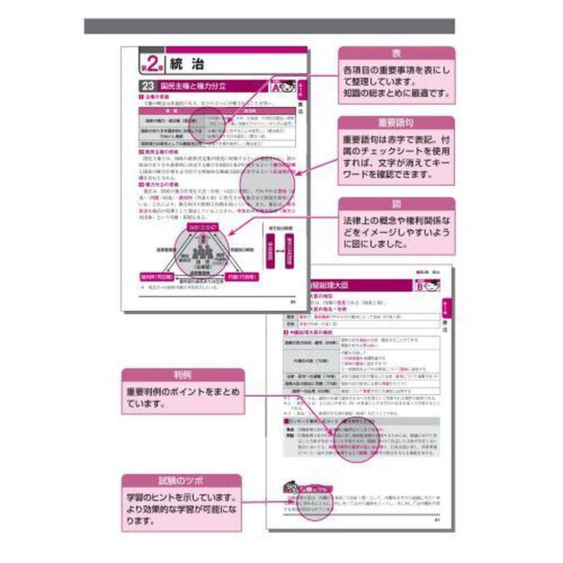 出る順行政書士最重要論点２５０　２０２３年版