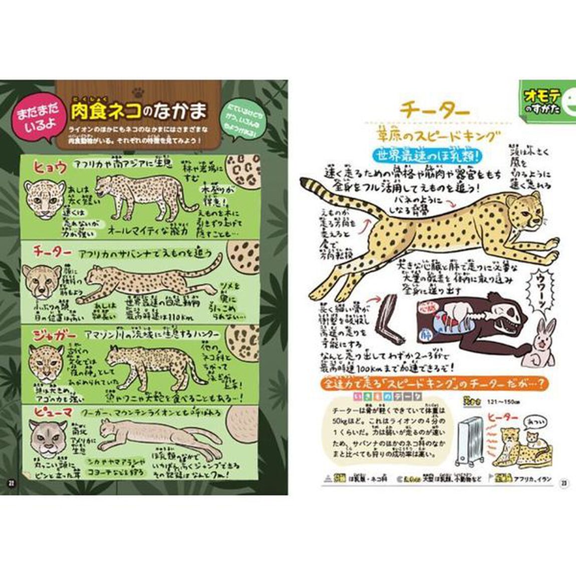 ぬまがさワタリのゆかいないきものマル秘図鑑