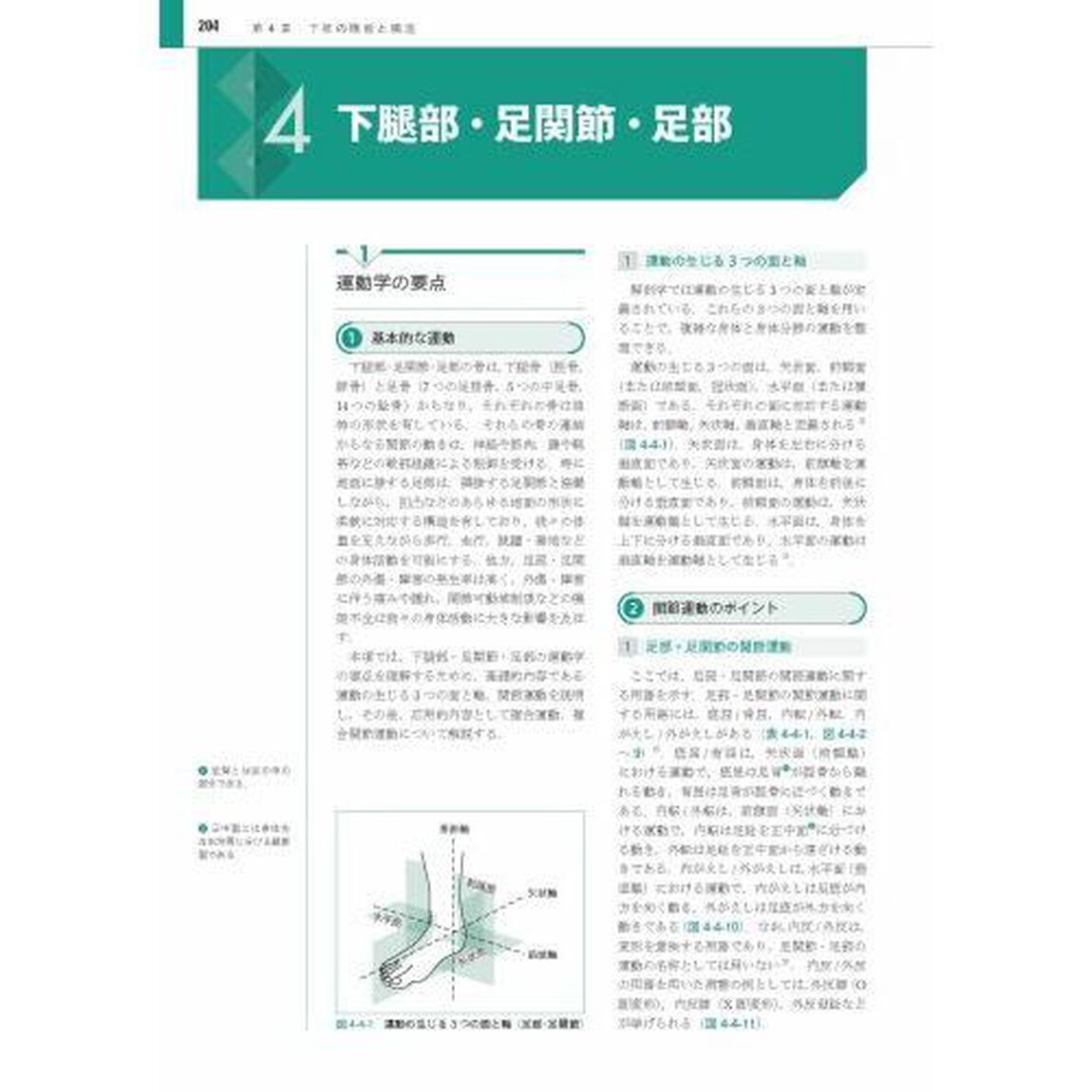 運動器の機能と構造　スポーツ動作の機能解剖