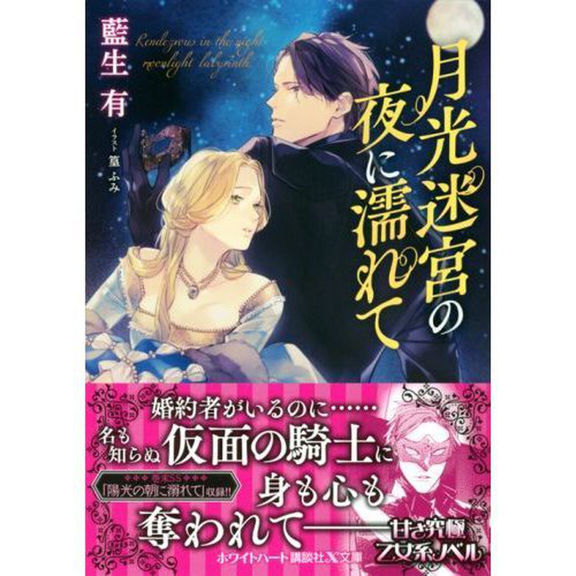 月光迷宮の夜に濡れて