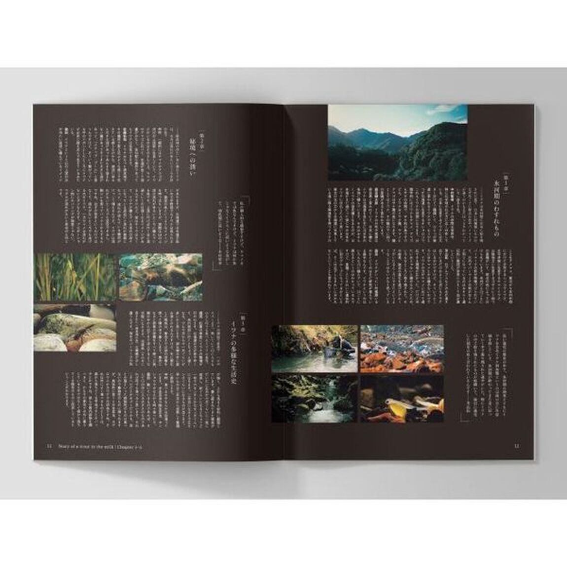 ミルクの中のイワナ　ＦＩＬＭ　ＢＯＯＫ　ａｓ　ｗｈｅｎ　ｙｏｕ　ｆｉｎｄ