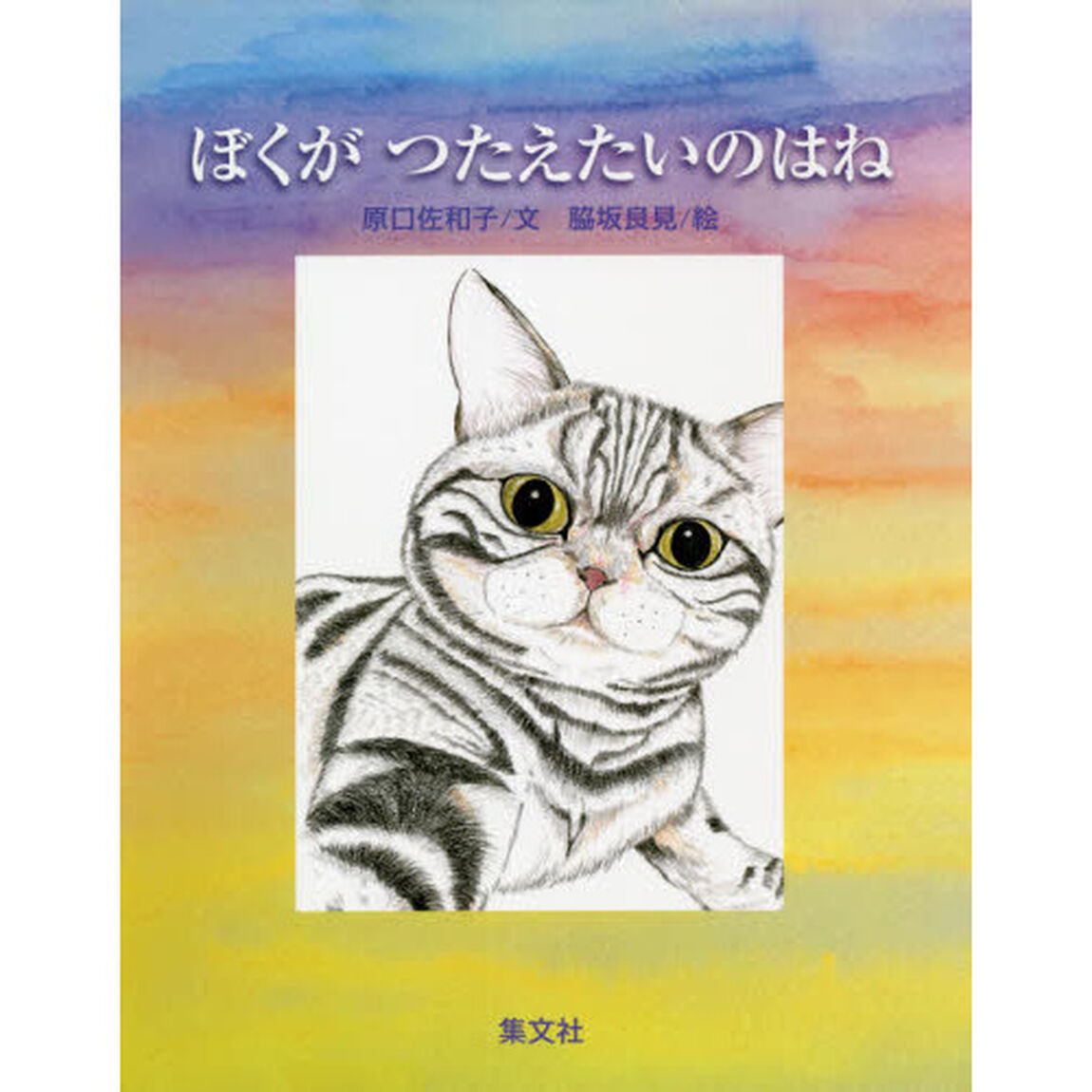 ぼくがつたえたいのはね