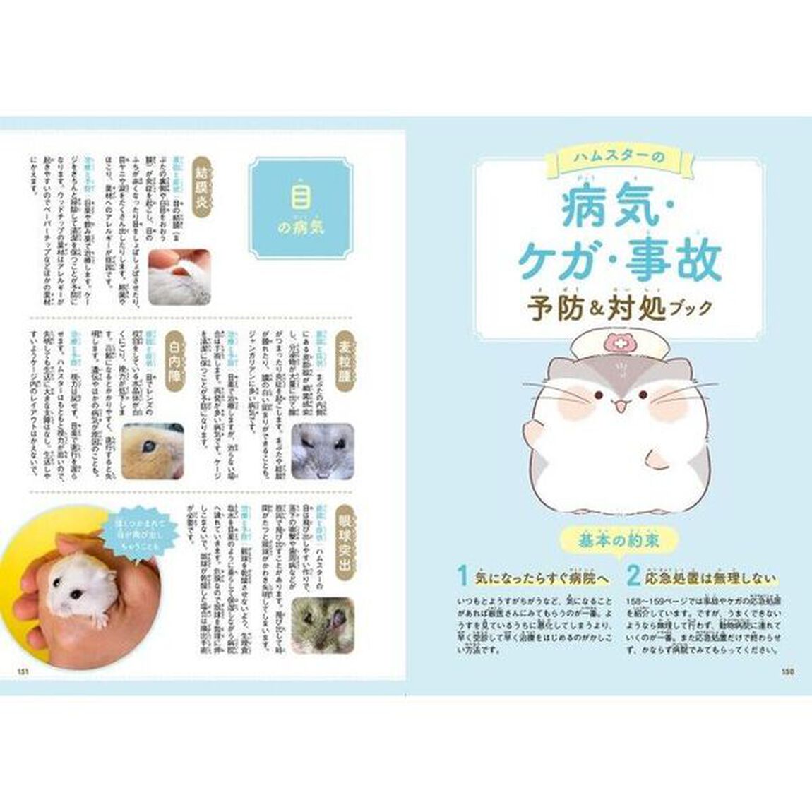 はじめてのハムスターそだてかたブック　いちばんわかるスタートガイド　マンガ付・ふりがな付