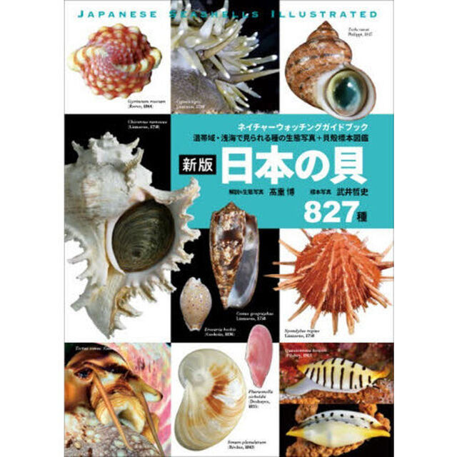 日本の貝　温帯域・浅海で見られる種の生態写真＋貝殻標本図鑑　８２７種「新版」