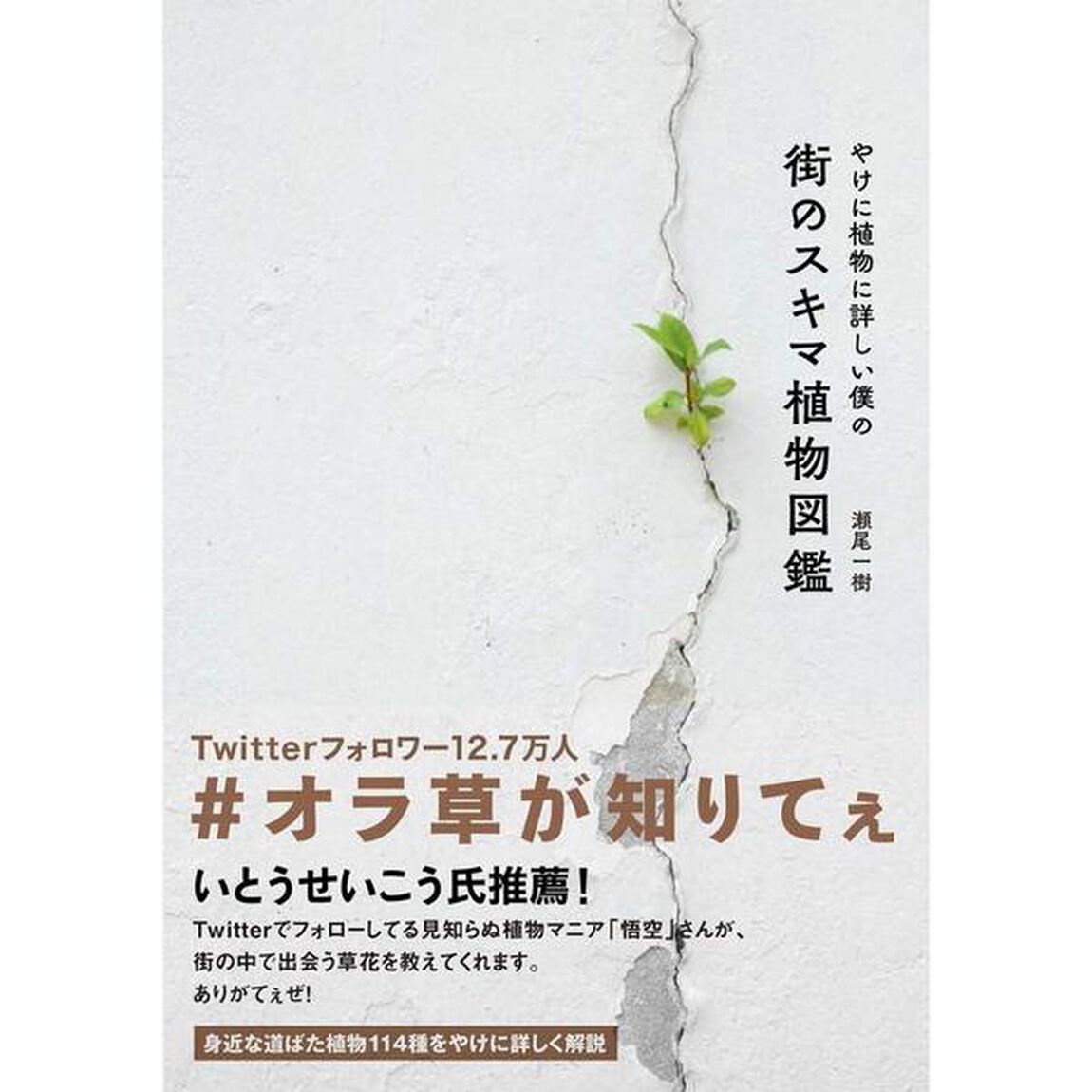 やけに植物に詳しい僕の街のスキマ植物図鑑
