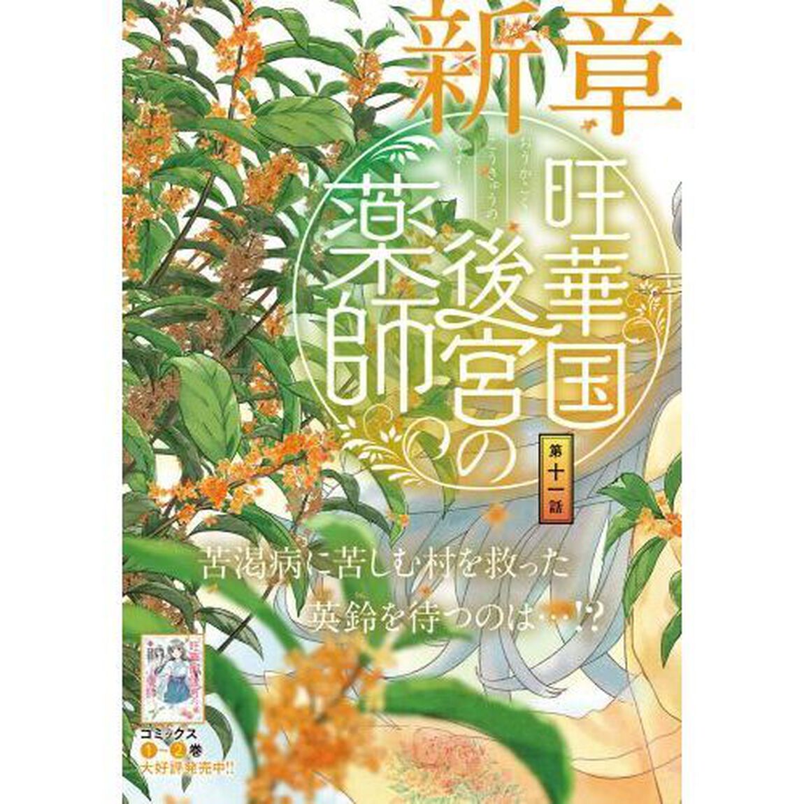 旺華国後宮の薬師　３