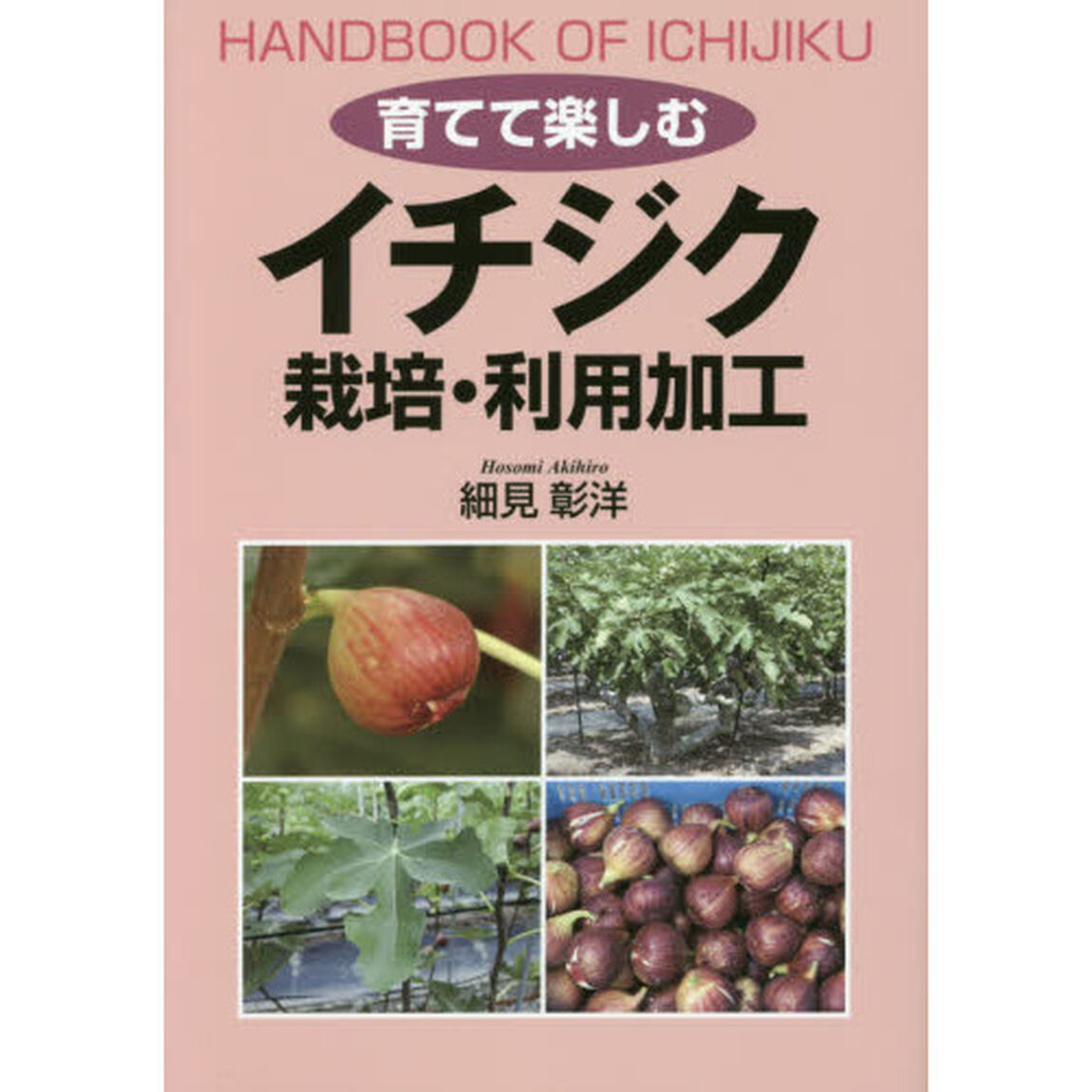 育てて楽しむイチジク栽培・利用加工