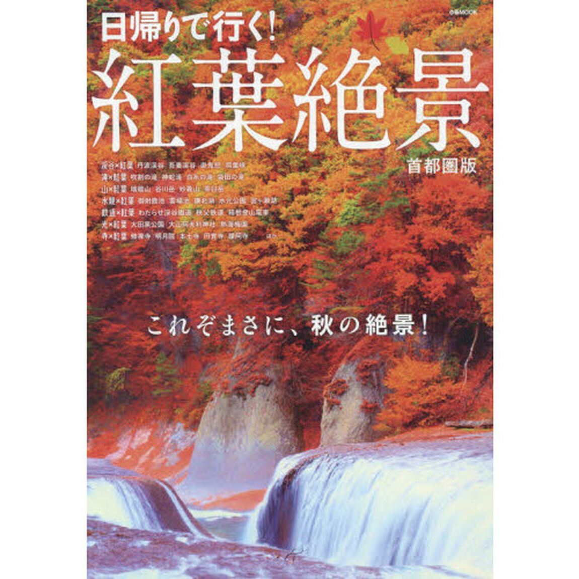 日帰りで行く！紅葉絶景　首都圏版