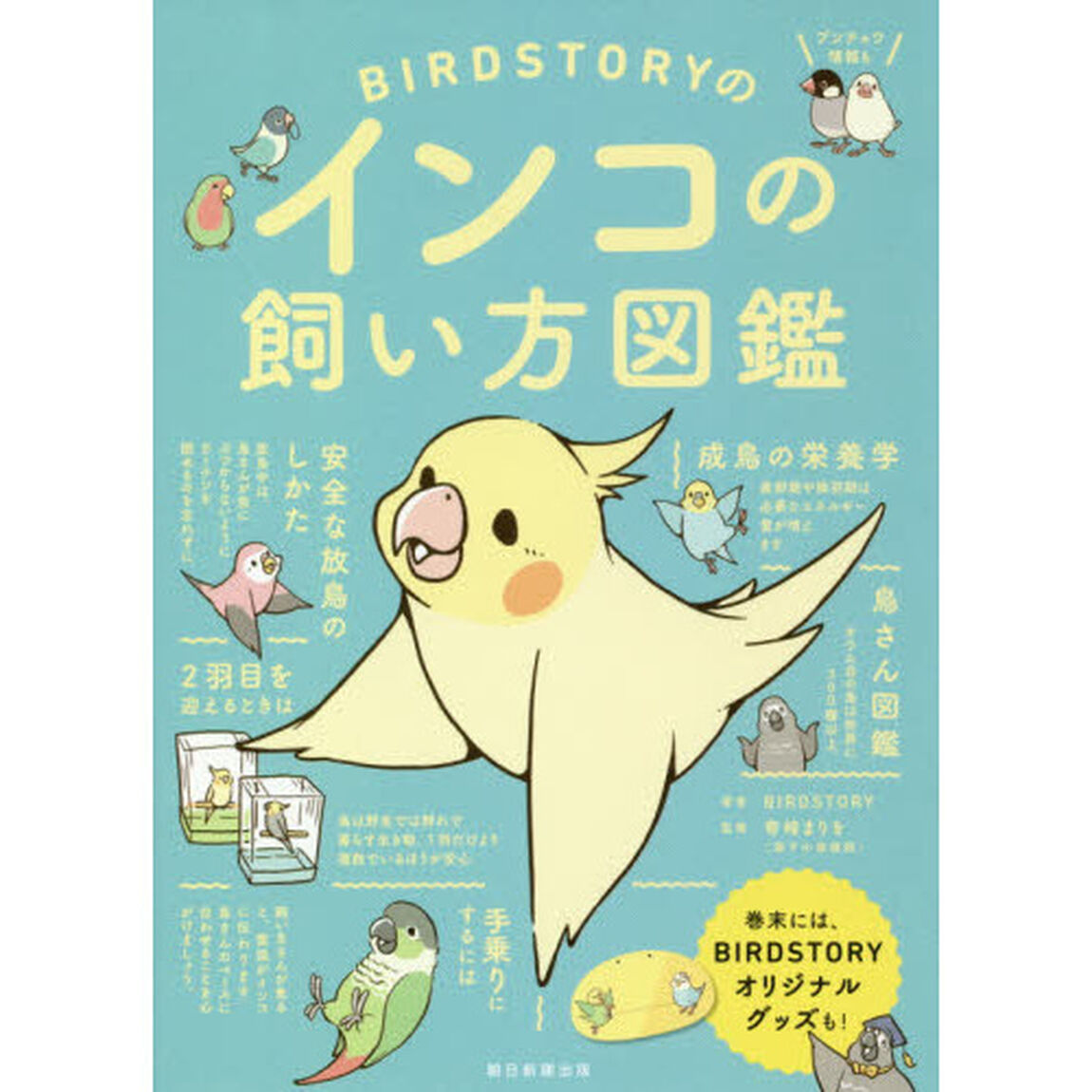 ＢＩＲＤＳＴＯＲＹのインコの飼い方図鑑