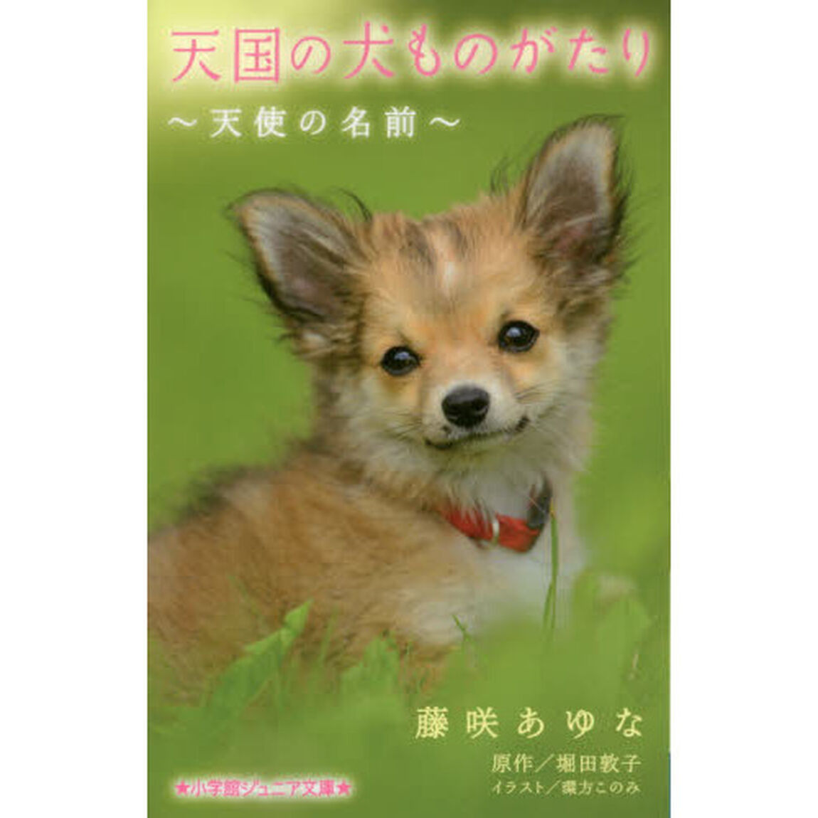 天国の犬ものがたり　〔６〕「天使の名前」