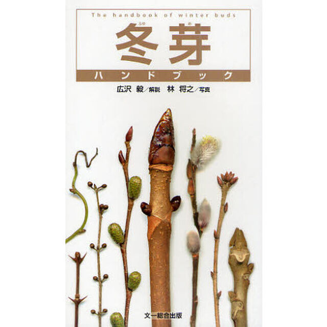 冬芽ハンドブック