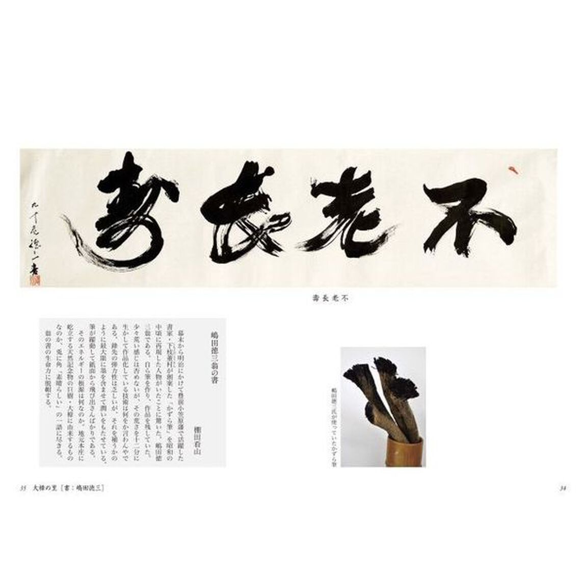 大樟の里／田舎日記