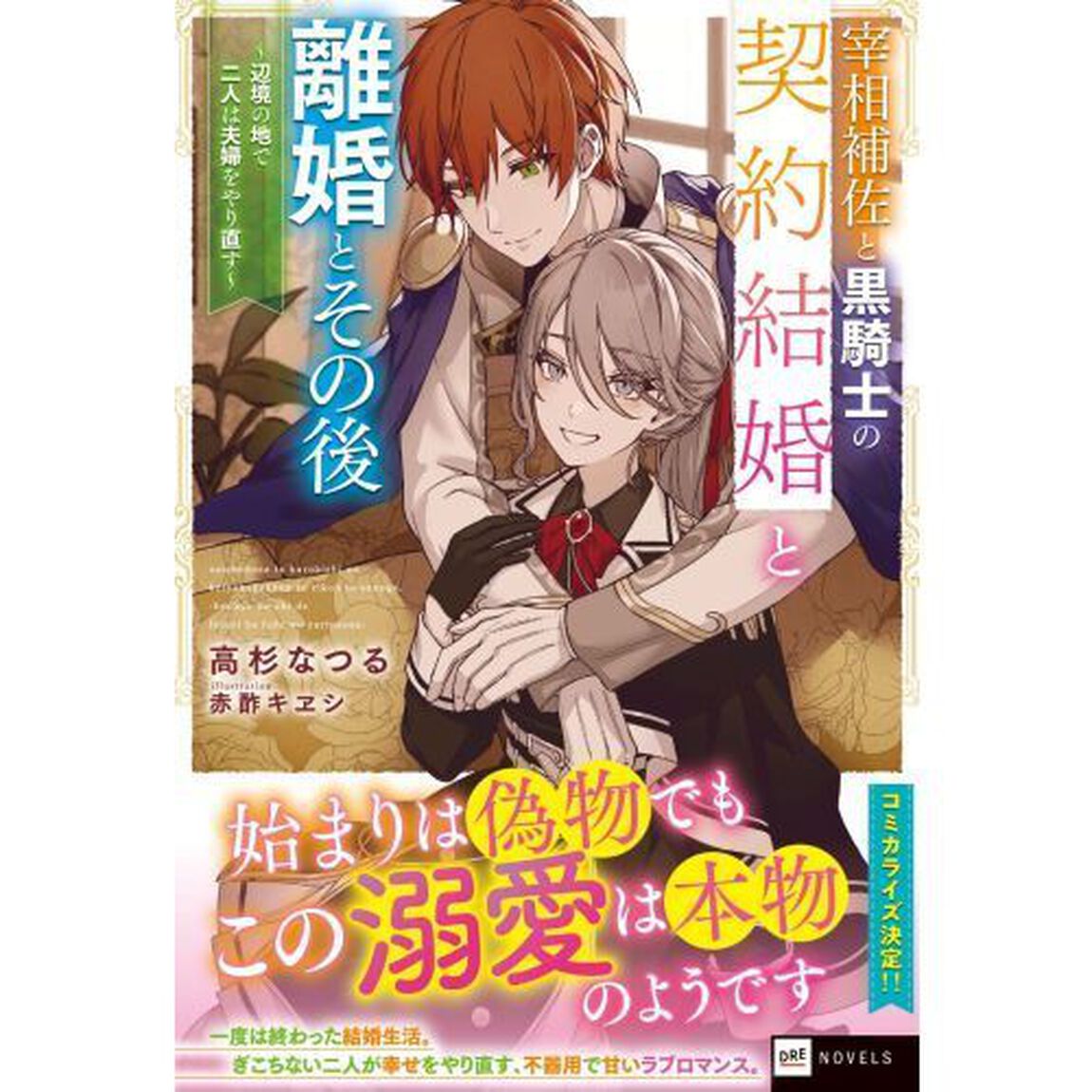 宰相補佐と黒騎士の契約結婚と離婚とその後　辺境の地で二人は夫婦をやり直す