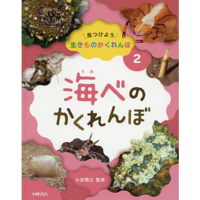 見つけよう生きものかくれんぼ　２「海べのかくれんぼ」