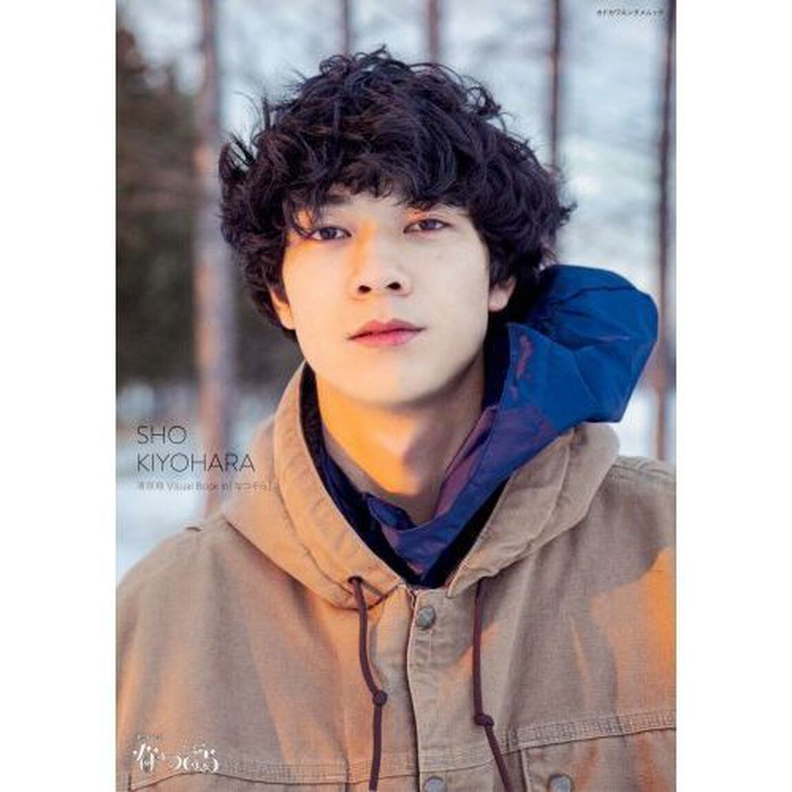 清原翔Ｖｉｓｕａｌ　Ｂｏｏｋ　ｉｎ「なつぞら」　連続テレビ小説「なつぞら」