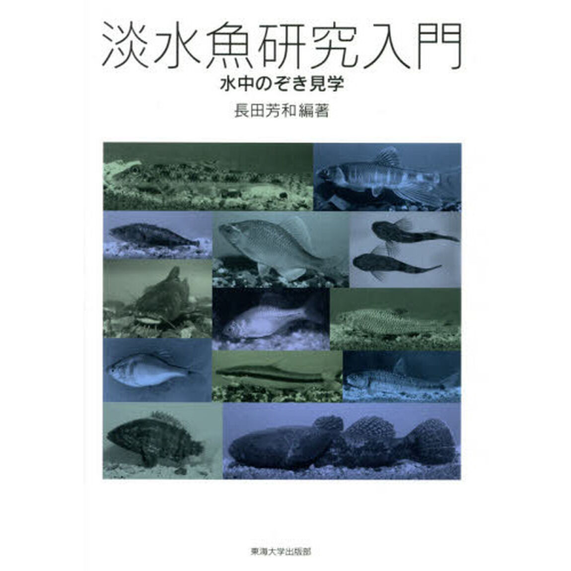 淡水魚研究入門　水中のぞき見学