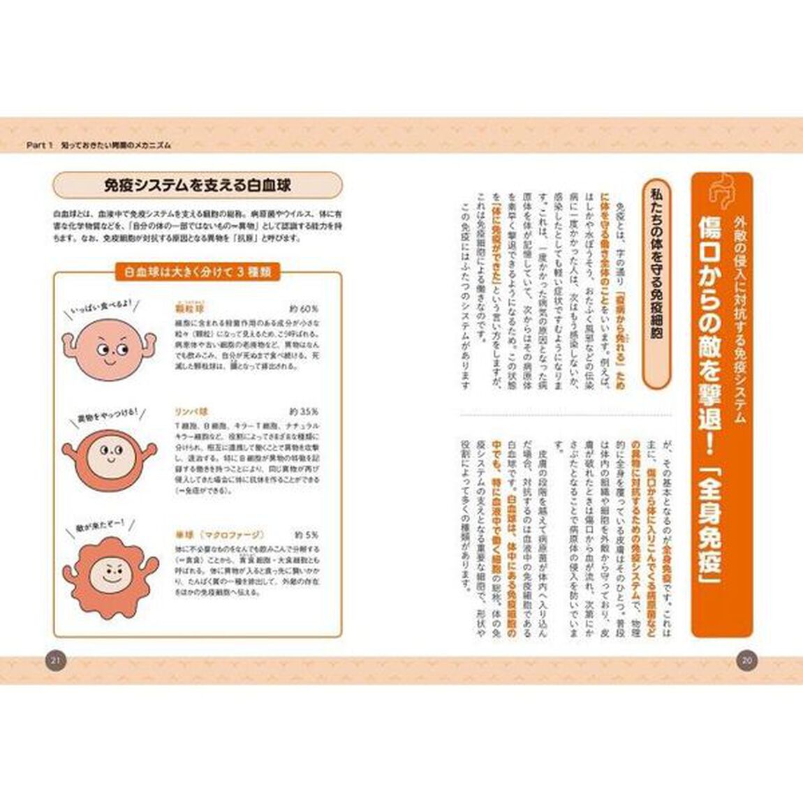 免疫力がアップする！胃腸のしくみ　専門医が解説する体を支える胃腸の機能