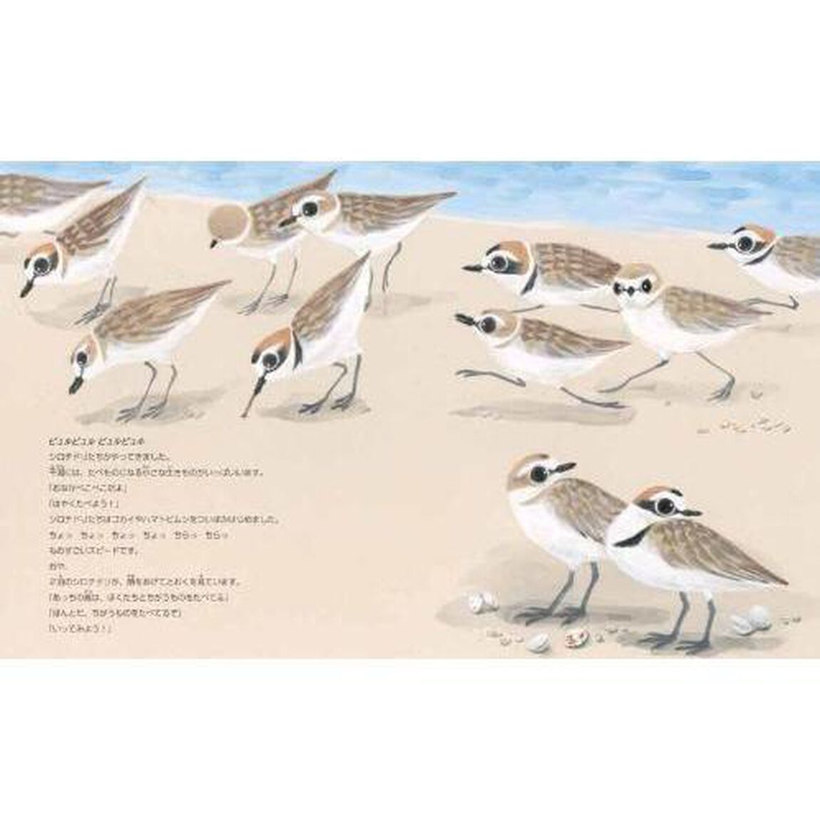 干潟のくちばしじまん