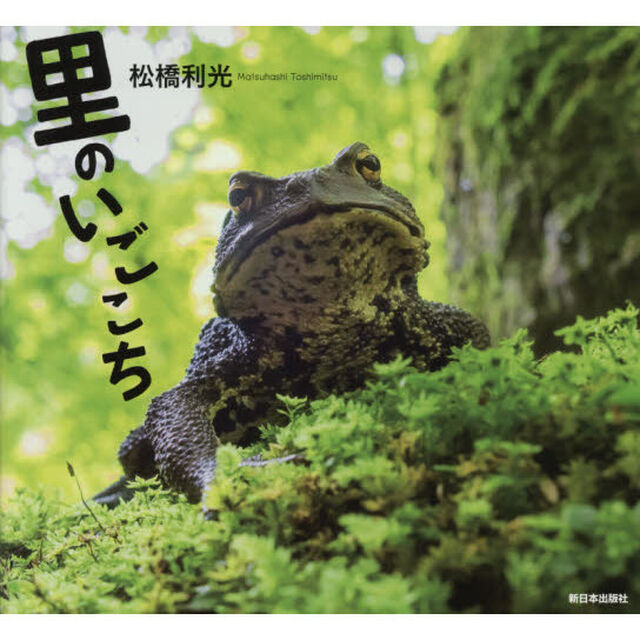 里のいごこち
