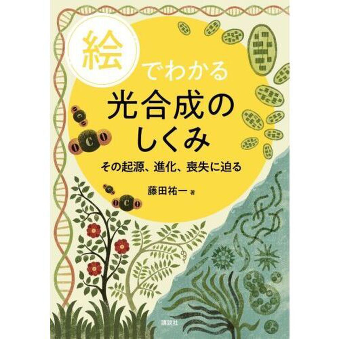 絵でわかる光合成のしくみ　その起源、進化、喪失に迫る