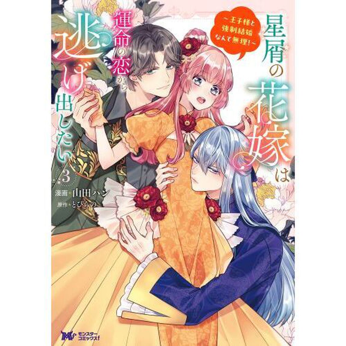 星屑の花嫁は運命の恋から逃げ出したい　王子様と強制結婚なんて無理！　３