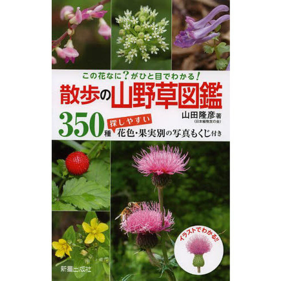 散歩の山野草図鑑―この花なに?がひと目でわかる!