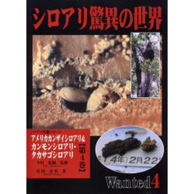 シロアリ驚異の世界　シロアリ実態リポート　第４巻「アメリカカンザイシロアリ＆カンモンシロアリ・タカサゴシロアリ」