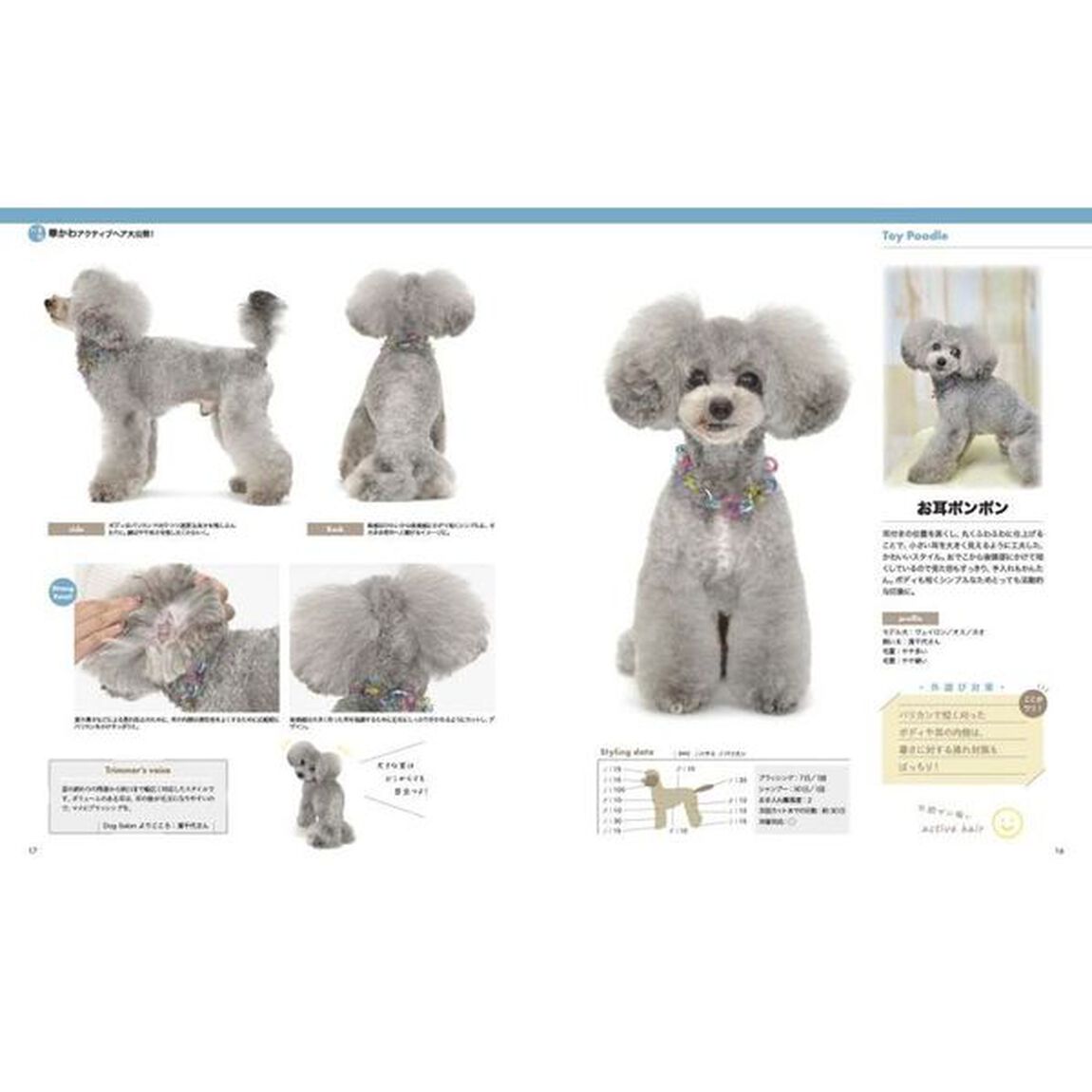 トリムノート　Ｄｏｇ　ｈａｉｒ　Ｃｏｌｌｅｃｔｉｏｎ　ｖｏｌ．１「今旬華かわアクティブヘア／０才からの激かわパピースタイル大提案！！」