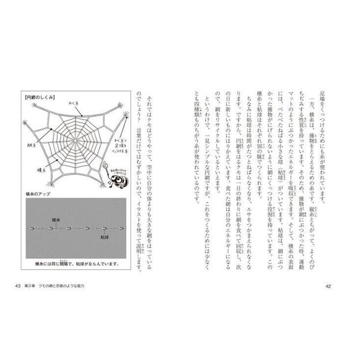 知れば楽しいクモの世界　網のひみつと忍者のような能力！？
