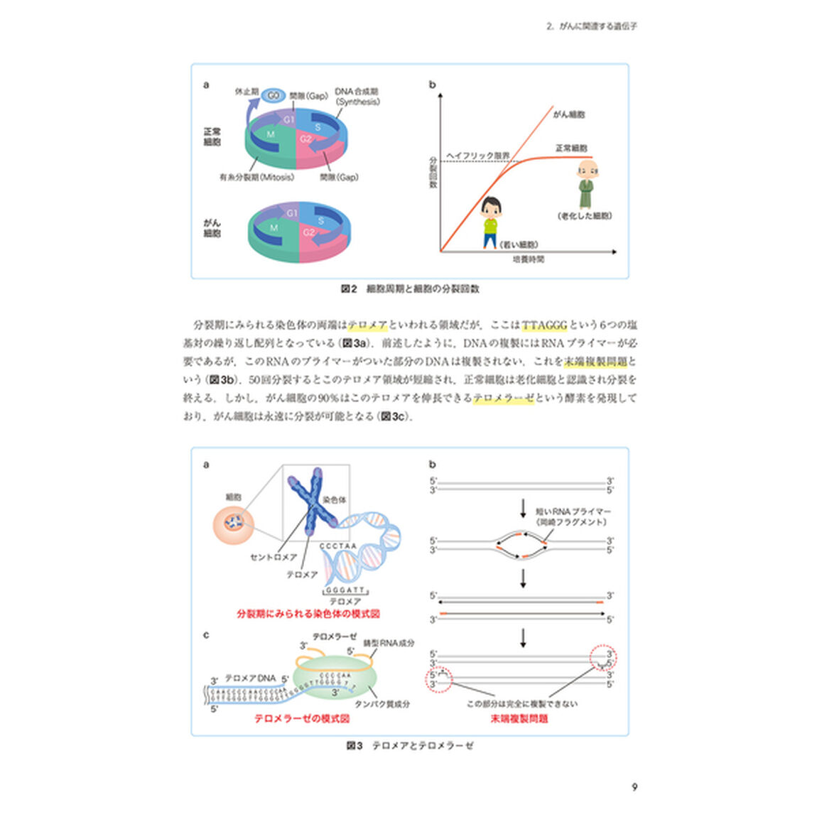 一発明解！腫瘍内科医が教える見えるがん化学療法ケモセラ