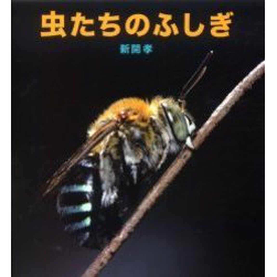 虫たちのふしぎ
