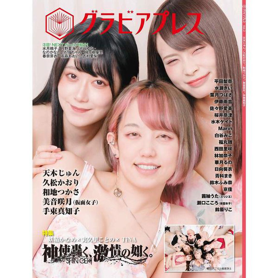 グラビアプレス　Ｖｏｌ．２