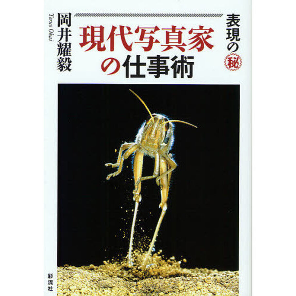 現代写真家の仕事術　表現のマル秘