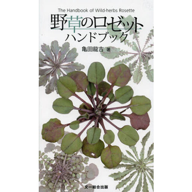 野草のロゼットハンドブック