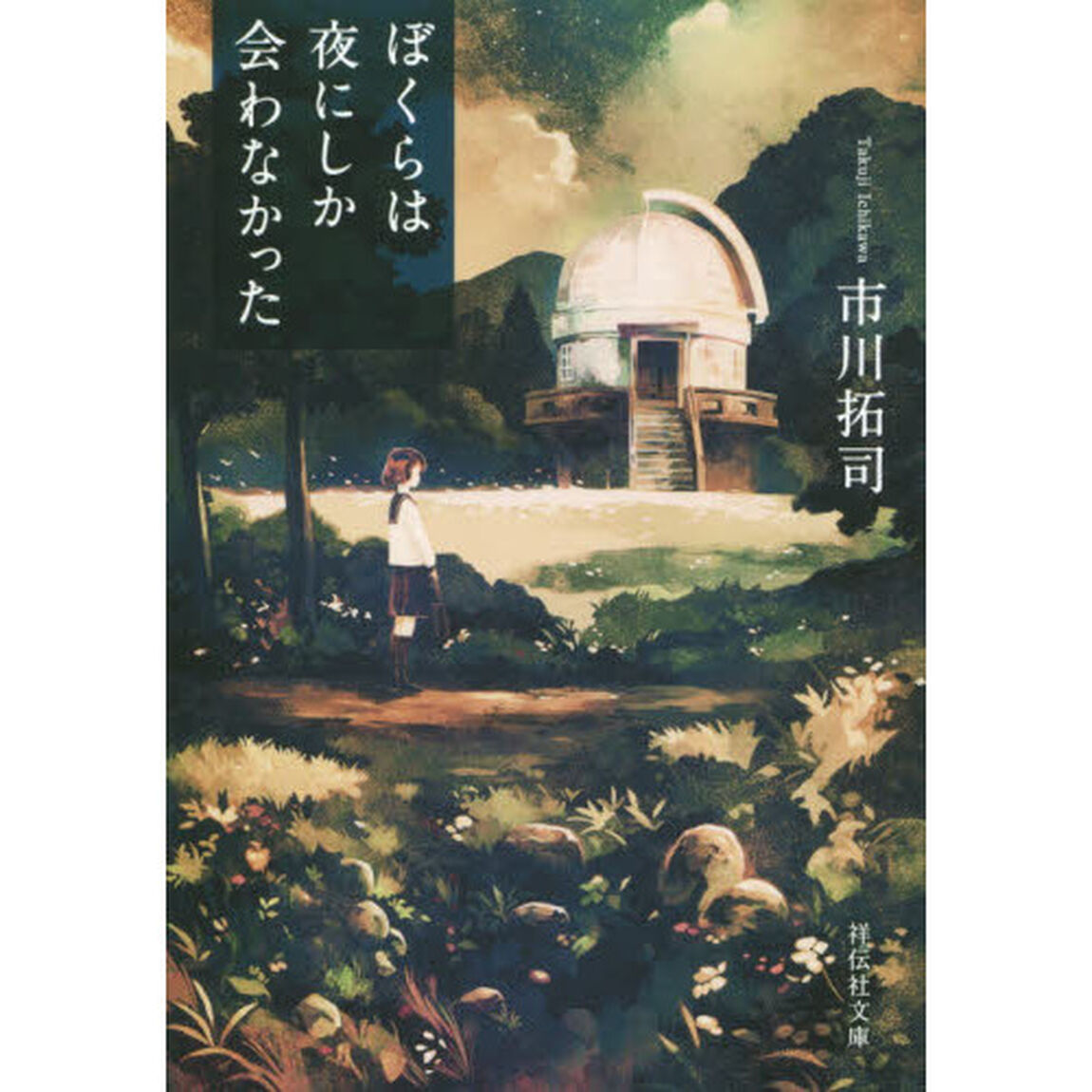 ぼくらは夜にしか会わなかった