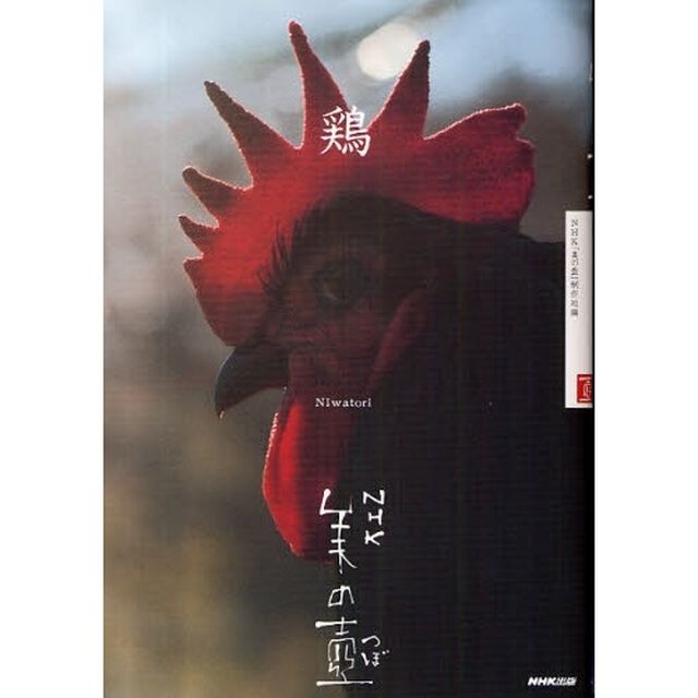 鶏