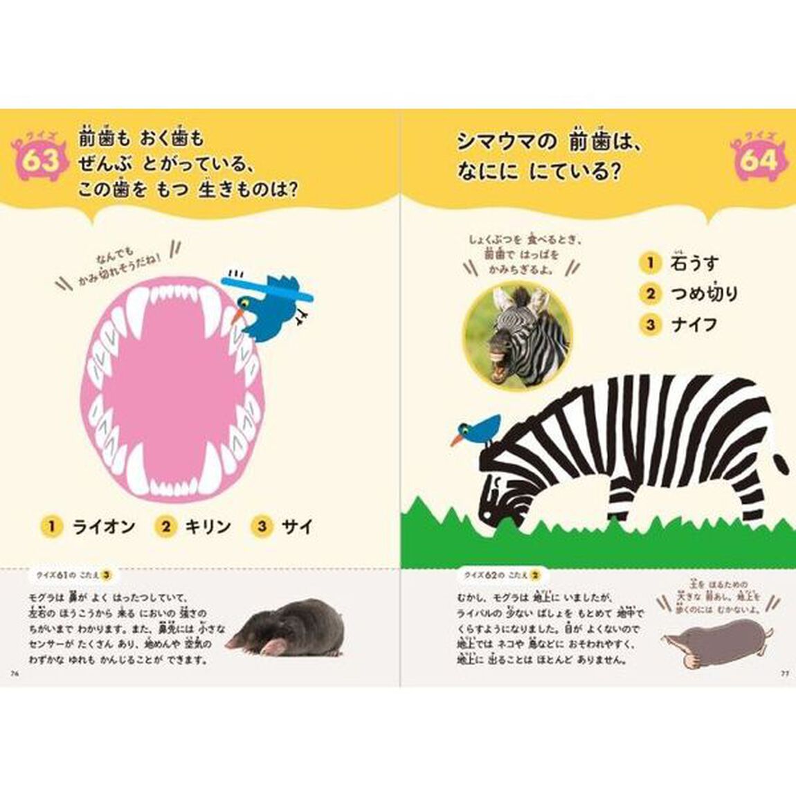 ぐんぐん考える力を育むかがくクイズブック