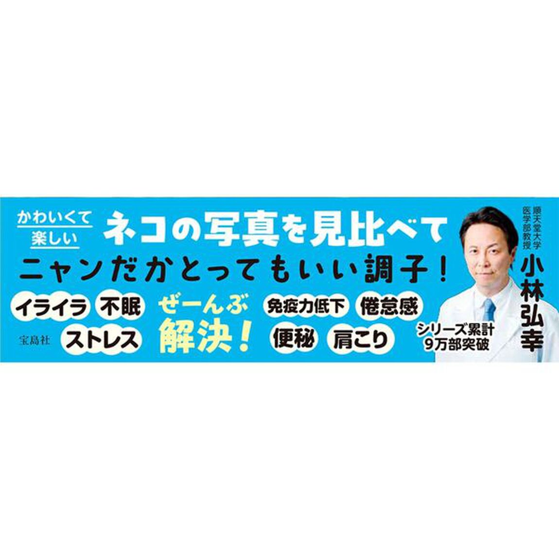 小林弘幸の自律神経を整えるネコのまちがいさがし　２