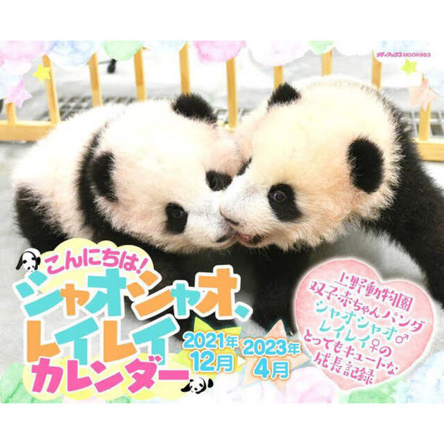 こんにちは！シャオシャオ、レイレイカレンダー