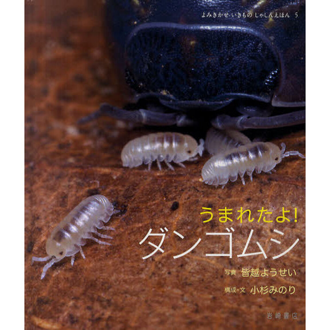 うまれたよ！ダンゴムシ