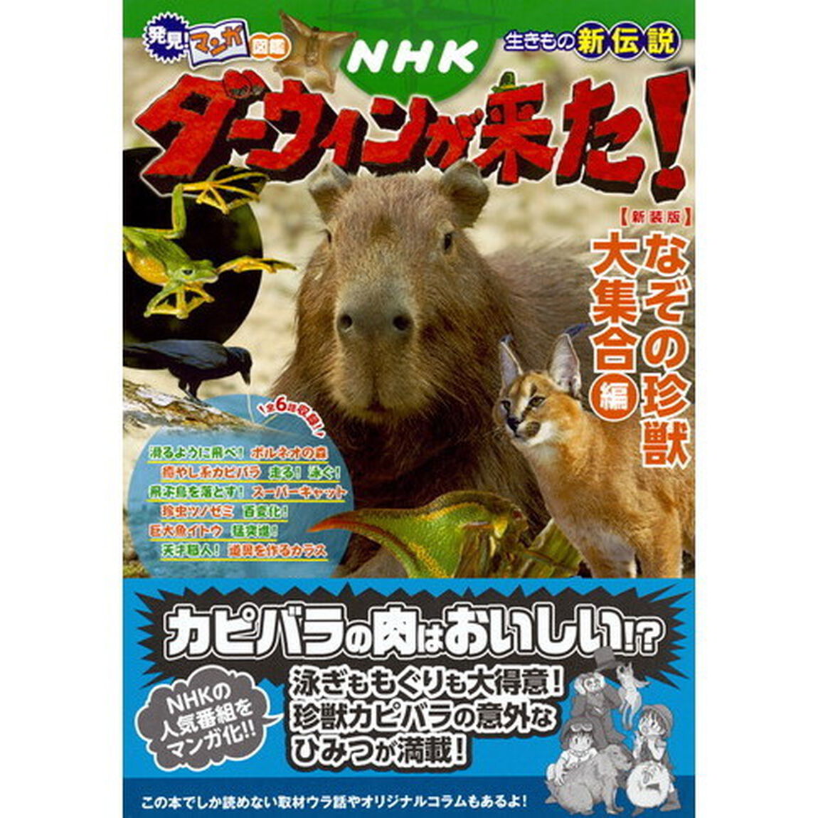 ＮＨＫダーウィンが来た！　生きもの新伝説　なぞの珍獣大集合編　新装版