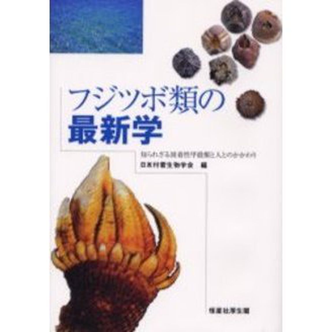 フジツボ類の最新学　知られざる固着性甲殻類と人とのかかわり