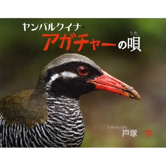 ヤンバルクイナ・アガチャーの唄