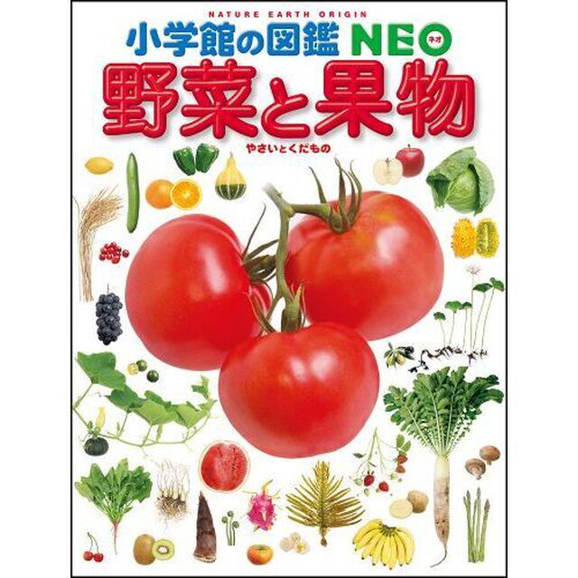 野菜と果物