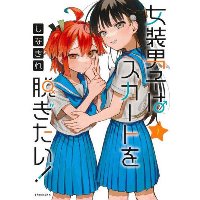 女装男子はスカートを脱ぎたい！　１