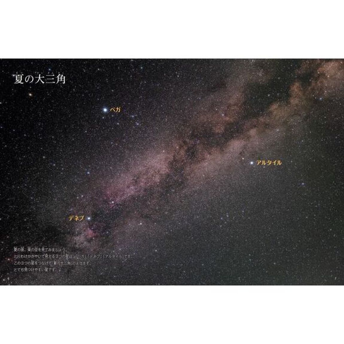 夏の星と星座　夏の星と星座の動きがわかる