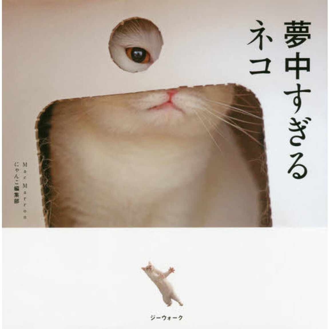 夢中すぎるネコ